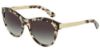 Picture of Dolce & Gabbana Sunglasses DG4243