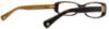 Picture of Coach Eyeglasses HC6033B