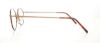Picture of Flexon Eyeglasses 623