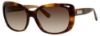 Picture of Jimmy Choo Sunglasses KALIA/S