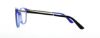 Picture of Guess Eyeglasses GU2565