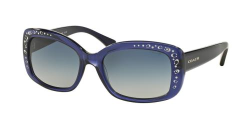 Picture of Coach Sunglasses HC8161 L146