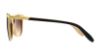 Picture of Ralph Sunglasses RA5203