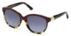 Picture of Swarovski Sunglasses SK0089 Elsa