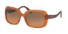 Picture of Coach Sunglasses HC8178 L1591