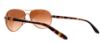 Picture of Oakley Sunglasses FEEDBACK