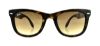 Picture of Ray Ban Sunglasses RB4105 Folding Wayfarer