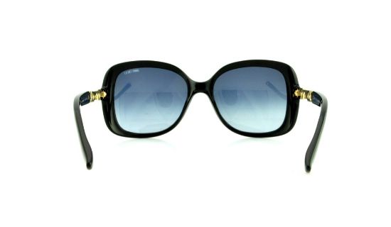Picture of Jimmy Choo Sunglasses WILEY/S