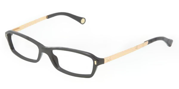 Picture of D&G Eyeglasses DD1217