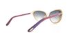 Picture of Tom Ford Sunglasses FT0321