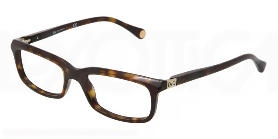 Picture of D&G Eyeglasses DD1214