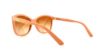 Picture of Dolce & Gabbana Sunglasses DG4170PM
