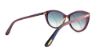 Picture of Tom Ford Sunglasses FT0345