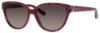 Picture of Jimmy Choo Sunglasses ODETTE/S