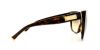Picture of Dolce & Gabbana Sunglasses DG4111