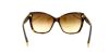 Picture of Dolce & Gabbana Sunglasses DG4111