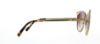 Picture of Michael Kors Sunglasses MK1020 Ina