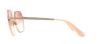 Picture of Dolce & Gabbana Sunglasses DG2157