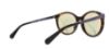 Picture of Michael Kors Sunglasses MK2034F Island Tropics Seaside