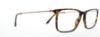 Picture of Giorgio Armani Eyeglasses AR7067