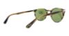 Picture of Persol Sunglasses PO3152S