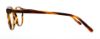 Picture of Polo Eyeglasses PH2150