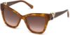 Picture of Swarovski Sunglasses SK0157