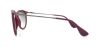 Picture of Ray Ban Sunglasses RB4171