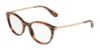 Picture of Dolce & Gabbana Eyeglasses DG3242F