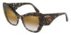 Picture of Dolce & Gabbana Sunglasses DG4349