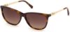 Picture of Swarovski Sunglasses SK0225
