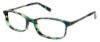 Picture of Ellen Tracy Eyeglasses BRAY