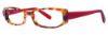 Picture of Vera Wang Eyeglasses V184