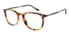 Picture of Giorgio Armani Eyeglasses AR7190