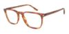 Picture of Giorgio Armani Eyeglasses AR7193
