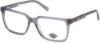 Picture of Harley Davidson Eyeglasses HD0859