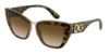 Picture of Dolce & Gabbana Sunglasses DG6144