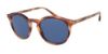 Picture of Giorgio Armani Sunglasses AR8122