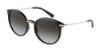 Picture of Dolce & Gabbana Sunglasses DG6158