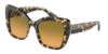 Picture of Dolce & Gabbana Sunglasses DG4348F