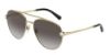 Picture of Dolce & Gabbana Sunglasses DG2283B