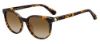 Picture of Kate Spade Sunglasses MELANIE/S