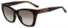 Picture of Jimmy Choo Sunglasses RIKKI/G/S