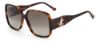 Picture of Jimmy Choo Sunglasses TARA/S