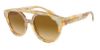 Picture of Giorgio Armani Sunglasses AR8163