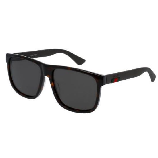 Picture of Gucci Sunglasses GG0010S