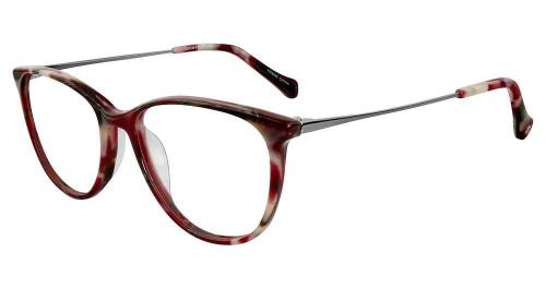 Picture of Lucky Brand Eyeglasses D213