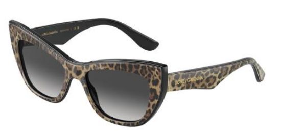 Picture of Dolce & Gabbana Sunglasses DG4417