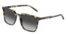 Picture of Dolce & Gabbana Sunglasses DG4424F