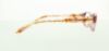 Picture of Polo Eyeglasses PP8519